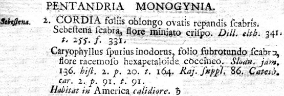 Cordia sebestena de Linné